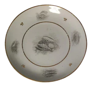 Early 19th Century Worcester Porcelain Flight Barr BFB Shell Decorated Plate or Bowl Century 1810