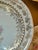 Antique O & E Gutherz Royal Austria Hand Painted Fish Dinnerware Circa 1899-1918 - A Set of 10 Pieces For Sale - Image 16 of 18