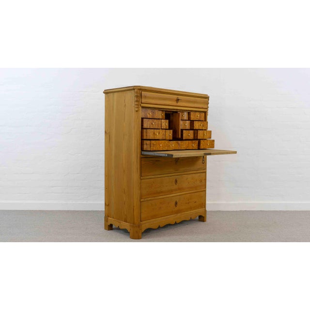 Antique Biedermeier Secretary in Softwood and Burlwood, 19th Century For Sale - Image 3 of 18