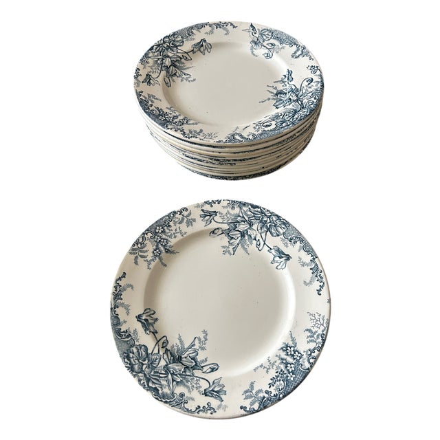 Terre De Fer Dinner Plates from Louis Graves, 1890s, Set of 13 For Sale