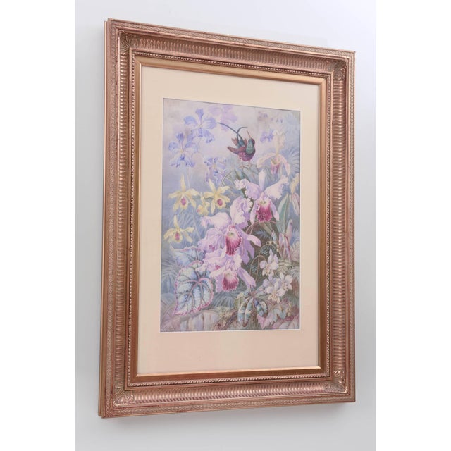 Traditional Exquisite Orchid & Hummingbird Watercolor by William Morley, Antique Oversize For Sale - Image 3 of 10