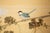 "Tit and Chrysanthemums", Showa Era Japanese Painted Silk Bybu Screen For Sale - Image 14 of 18