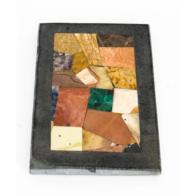 19th Century Grand Tour Pietra Dura Specimen Paperweight For Sale - Image 5 of 8