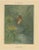 Giacomelli, Kingfisher by the Water's Edge, 1891, Print For Sale