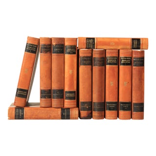 Scandinavian Leather-Bound Books by Victor Hugo - Set of 11 For Sale