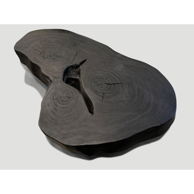 Andrianna Shamaris Impressive Single Slab Suar Wood Charred Coffee Table For Sale In New York - Image 6 of 18