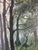 Dark Green Contemporary Steve Schaaf "Into the Mist" For Sale - Image 8 of 18