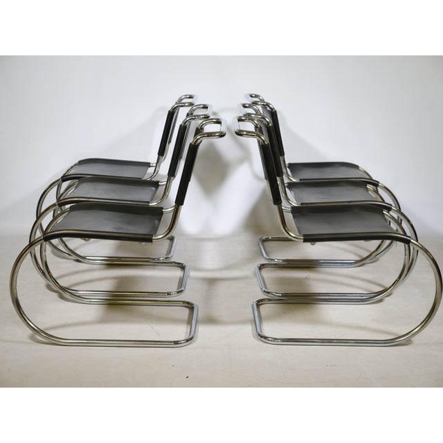 Bauhaus MR10 Cantilever Chairs in Tubular Steel and Leather by Ludwig Mies van der Rohe for Thonet, 1970s, Set of 6 For Sale - Image 13 of 13