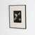 Modern Karl Blossfeldt, Natural Grace, 1942, Photogravure, Framed For Sale - Image 3 of 13