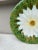 French Country French Majolica Daisy Plate Orchies, Circa 1890 For Sale - Image 3 of 5