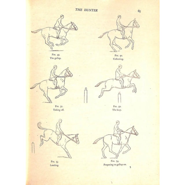 "Bridle Wise: A Key to Better Hunters - Better Ponies" 1949 Goldschmidt, Lt. Col. s.g. For Sale - Image 4 of 12