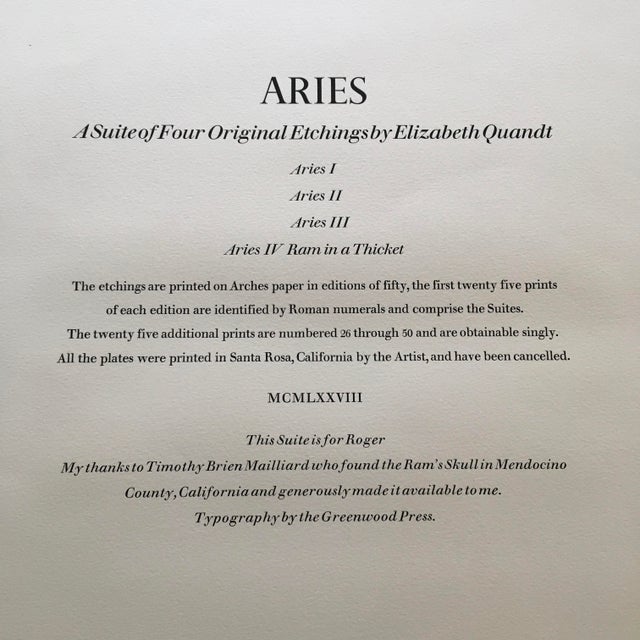 White 1970s Signed, Limited Edition Etchings of Ram Skulls by Elizabeth Quandt - Set of 4 For Sale - Image 8 of 9