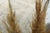 1970s Vintage Persian Handmade Wool Cotton Beige Area Rug For Sale - Image 11 of 11