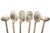 Metal Vintage Sterling Silver Coastal Clam Shell Ice Tea Spoons, Set of 6, 1960's For Sale - Image 7 of 12