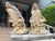 Pair of Weathered French Cement Dolphin Fountain Spouts, Circa 1970s For Sale - Image 4 of 16
