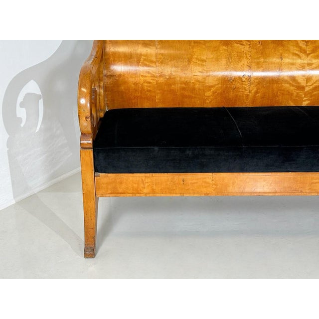 Bench in Birch Veneer, Russia, Early 19th Century For Sale - Image 4 of 13