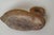 Life-Size Wooden Swan, 1970s For Sale - Image 3 of 17