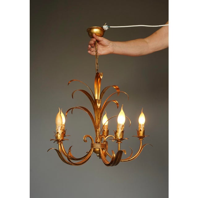 Vintage Five Light Chandelier attributed to Hans Kögl, 1970s For Sale - Image 3 of 8