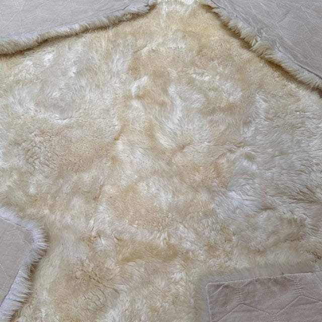 7ft 10in × 7ft 10in Safavieh Sheepskin Area Rug For Sale - Image 10 of 13