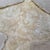 7ft 10in × 7ft 10in Safavieh Sheepskin Area Rug For Sale - Image 10 of 13