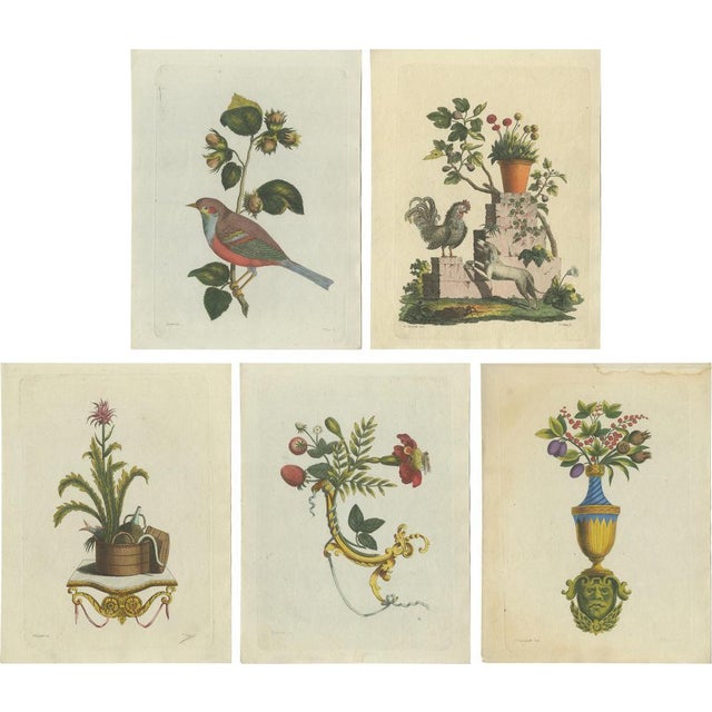 Paper Haas, Illustrations of Various Animals and Ornaments, 1800s, Prints, Set of 5 For Sale - Image 7 of 7