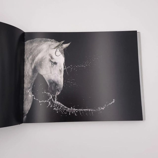 2000 - 2009 Flach, "Equus", First Edition 2008 For Sale - Image 5 of 8
