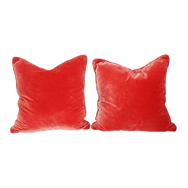 Pair of Decorative Velvet Pillows For Sale
