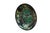 Antique Chinese famille noire porcelain plate / dish / bowl features a dramatic black ground accented by vibrant green...