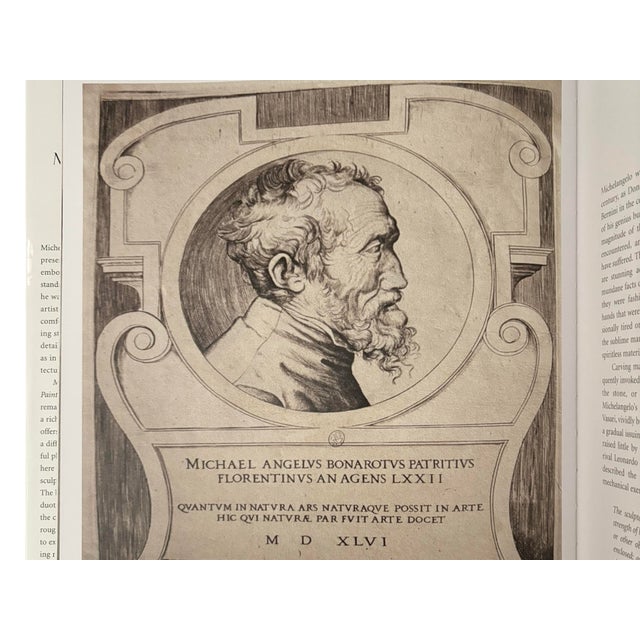 Traditional Michelangelo - the Complete Sculpture, Painting & Architecture For Sale - Image 3 of 12