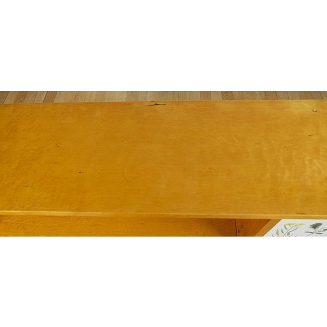 Swedish Modern Nordens Flora Bookcase by C.A.M. Lindman, Sweden, 1940s For Sale - Image 9 of 12