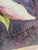 Vintage Original Budding Pink Lily Flower Still Life Watercolor Painting For Sale - Image 4 of 8