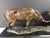 Bronze Don Hunt "The Exchange" Bulle&bear Bronze Sculpture Beautiful Art Rare! Obo For Sale - Image 8 of 10