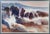 Abstract Abstract, Attractive Watercolor California Seascape Painting by c.k. Williams For Sale - Image 3 of 5