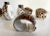 Late 20th Century Vintage Tiger Cowrie Shell Salt/Pepper and Napkin Rings Set - Set of 8 For Sale - Image 5 of 11