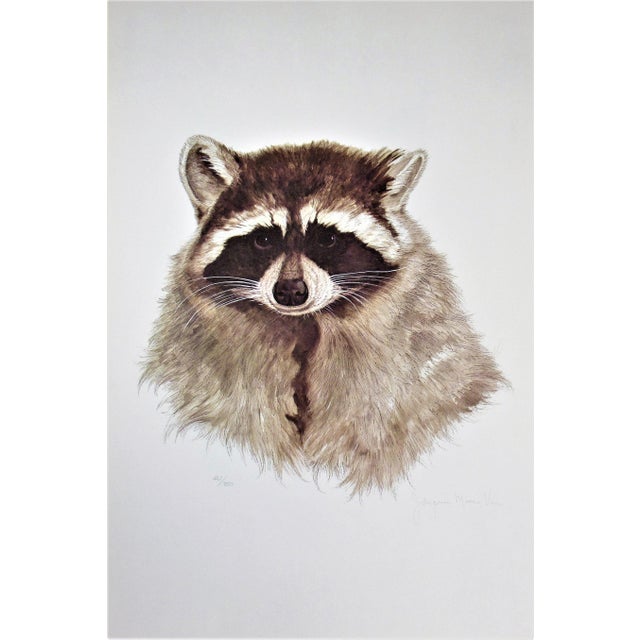 Jacquie Marie Vaux, Racoon, Circa 1990 For Sale