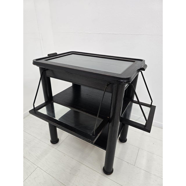 Viennese Secession Serving Table by Fritz Nagl, 1890s For Sale - Image 13 of 18