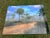 Green Old Florida; Highlands Hammock Park, Sebring Florida Photo Print, Pines and Palmetto. Four by Three Feet in Plastic For Sale - Image 8 of 18