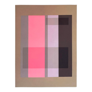 2009 Josef Albers the Interaction of Color Plate Xvii-2