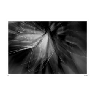 Chris Delmar Limited Edition Photograph No. 7087 — 24 × 16 In. For Sale