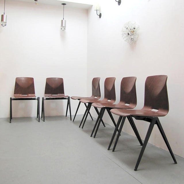 Wood Industrial Dining Chairs by Elmar Flötotto, 1970 For Sale - Image 7 of 10