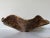Mid-Century Modern Large - 1980s Vintage Organic Cococnut Shell Sculptural Bowl/Sold For Sale - Image 3 of 12