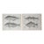 Mid 19th Century Us Pacifc Railroad Fish Lithograph Book Plate - A Pair For Sale