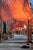 Artist: Javacheff Christo Title: The Gates Project, Photo #26 Year: 2005 Signed: No Medium: Offset Lithograph Paper Size:...