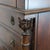 Brown Traditional Burl Wood 7-Drawer Tall Chest With Lion Head Hardware For Sale - Image 8 of 10