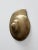 Mid-Century Modern Mid Century Brass Wall Sconce For Sale - Image 3 of 9