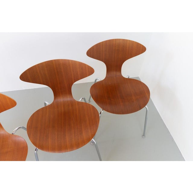Orbit Dining Chairs in Walnut by Ross Lovegrove for Bernhardt Design, 2006, Set of 8 For Sale - Image 14 of 18