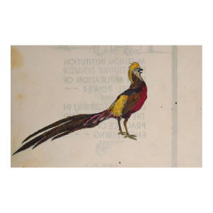 1940s Outsider Folk Art Golden Pheasant Watercolor Painting