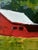 "Caribou" is an original oil painting, inspired by a photo of a red barn nestled in the Rocky Mountains. I used a thick...