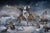 Queen of the Wild Hearts by Marcin Owczarek | Photography - Dye Sublimation on Aluminum depicting a surreal scene with animals and a winged rabbit. For Sale