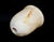 Vintage Alabaster Lamp Shade Marble Stone Italian For Sale - Image 10 of 10
